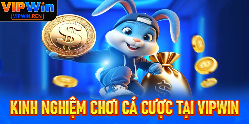 Kinh Nghiệm Chơi Cá Cược Tại Vipwin