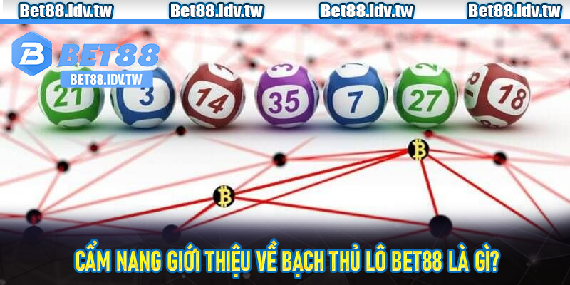 Cẩm nang giới thiệu về bạch thủ lô Bet88 là gì?
