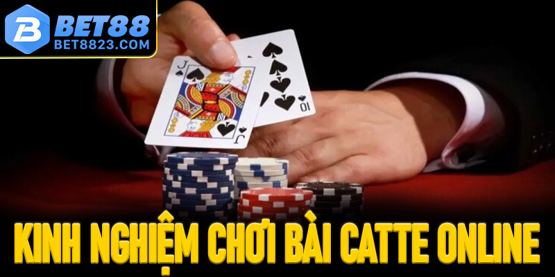 Gợi ý những kinh nghiệm chơi bài catte online thắng lớn từ cao thủ