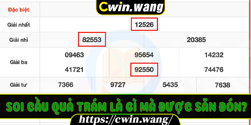 Soi Cầu Quả Trám là gì mà được săn đón?