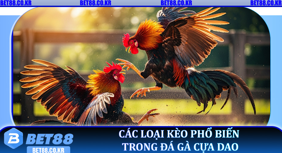 Các loại kèo phổ biến trong Đá Gà Cựa Dao